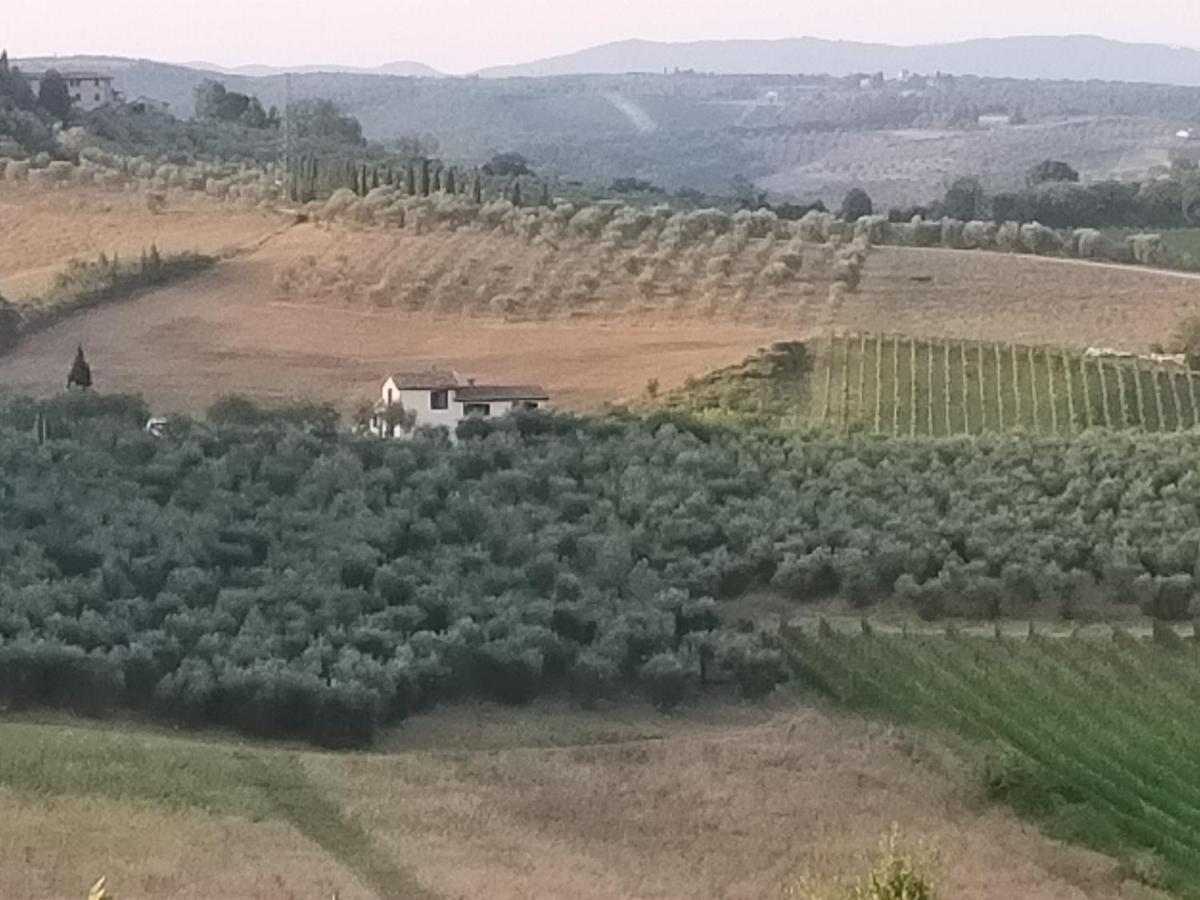Villa Degli Olivi Nature Siena Luaran gambar