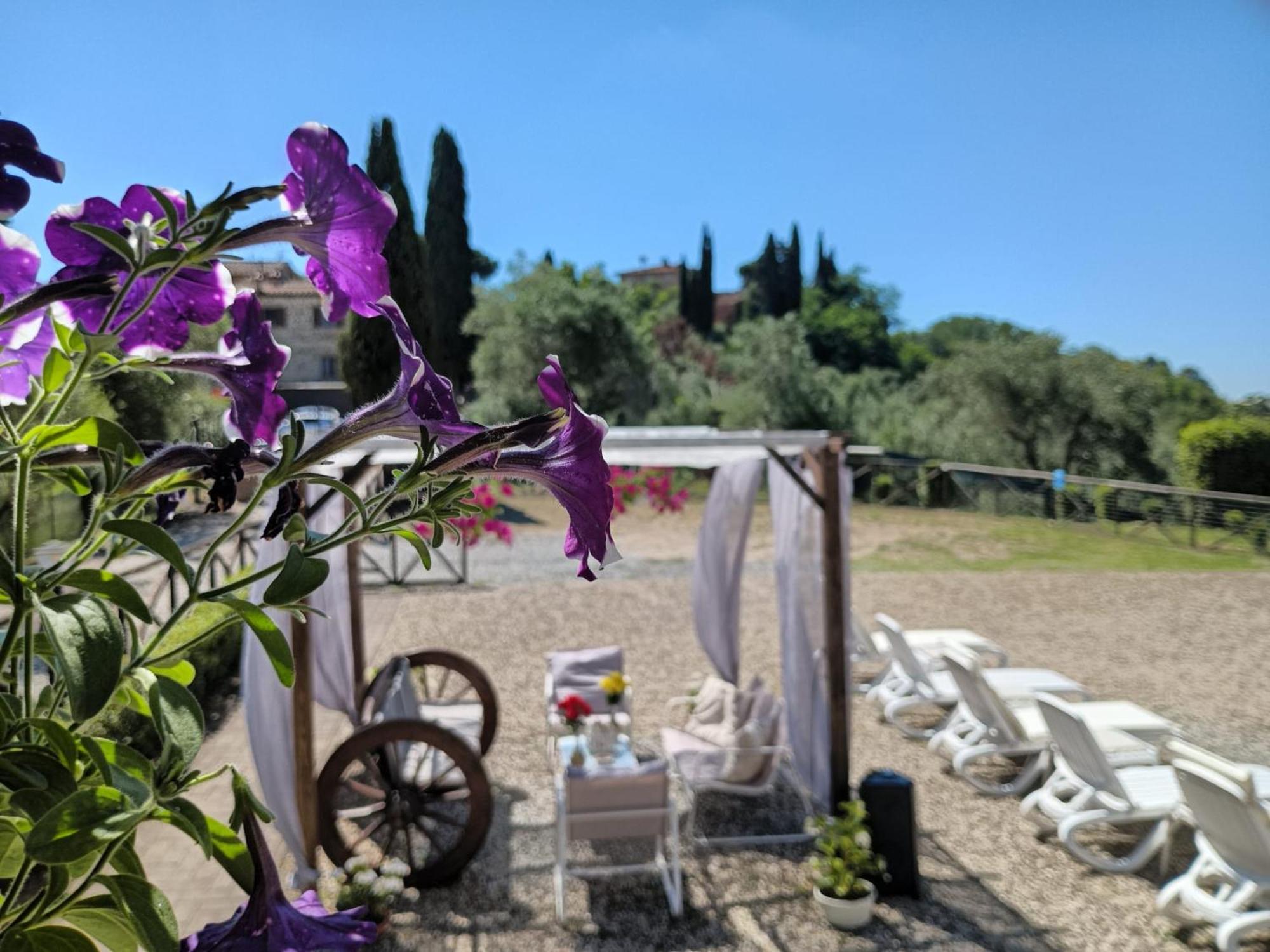 Villa Degli Olivi Nature Siena Luaran gambar